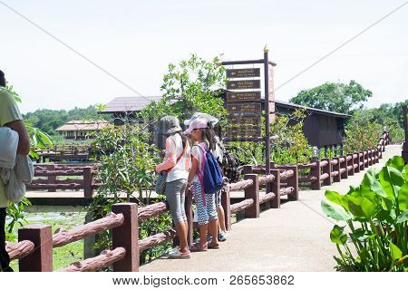 Phatthalung, Thailand : October 13, 2018 - Children Are Learning Nature Life At Thale-noi, A Nationa