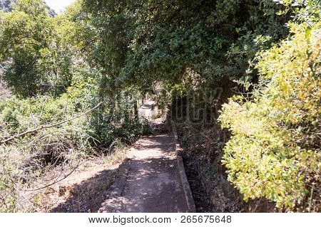 Path Passing Through A Wooded Slope Next To A Small Water Channel And Descending To The Amud River