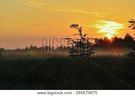 Dawn In The Middle Of The Steppe, Red Sky. Fog On The Grass