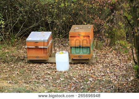 Beehives In The Forest In The Autumn