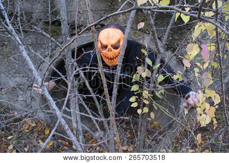 Horrible Creature In The Autumn Forest In The Evening. Happy Halloween. Pumpkinhead. A Man With A Pu