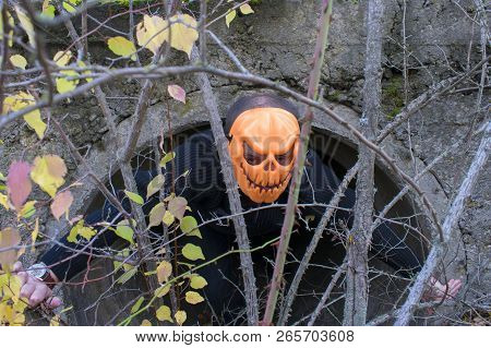 Horrible Creature In The Autumn Forest In The Evening. Happy Halloween. Pumpkinhead. A Man With A Pu