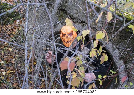 Horrible Creature In The Autumn Forest In The Evening. Happy Halloween. Pumpkinhead. A Man With A Pu