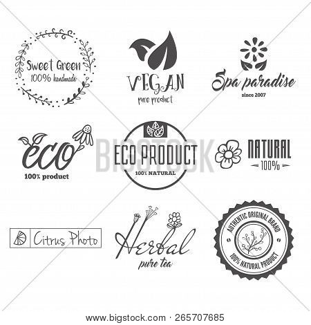 Eco Food, Organic Bio Products, Eco Friendly, Vegan Icons, Ecology. Set Of Vector Logo, Badges, Labe