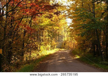 A Gravel Road Surrounded In Autumn Surrounded By Trees With Yellow Leaves, Red Leaves, Green Leaves 