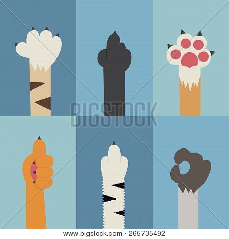 Cat Paw Flat Vector Icon. Different Gestures Of Emotions, Signs And Symbols Of Claw Animals.
