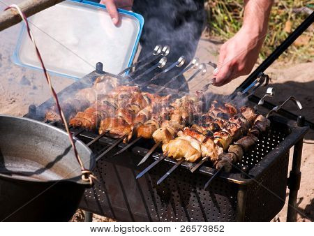Pezzi di carne di maiale marinata e pollo sul barbecue