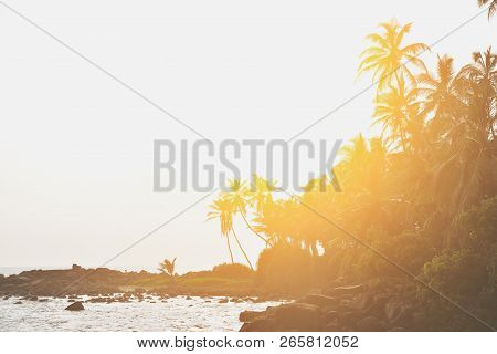 Beautiful Landscape Views Of Palm Trees Near The Ocean At Sunset Background
