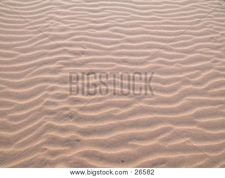 Sand Texture 1