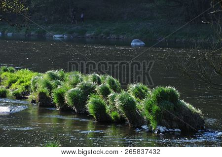 River Regen In The Landscape Of Bavaria