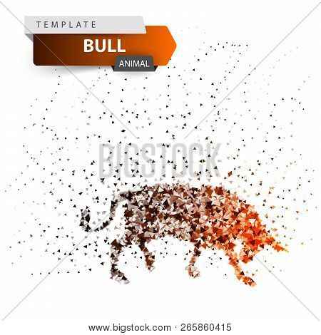 Bull Dott Illustration. Splatter, Glare Sun Vector Eps 10