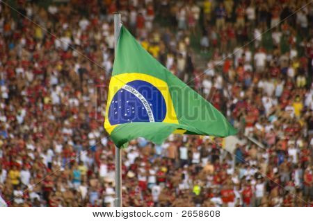 Brazilian Flag
