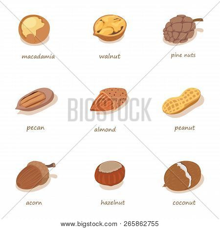 Nutwood Icons Set. Isometric Set Of 9 Nutwood Vector Icons For Web Isolated On White Background