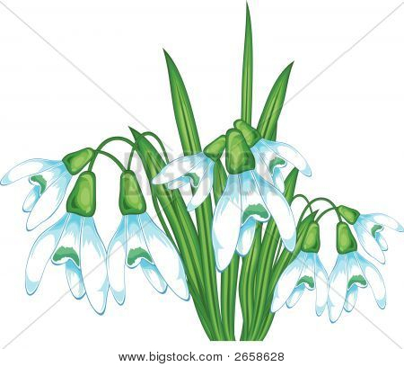 Snowflovers