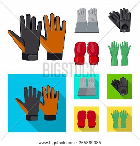 Vector Design Of Glove And Winter Symbol. Collection Of Glove And Equipment Stock Vector Illustratio