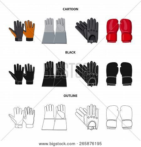 Vector Design Of Glove And Winter Sign. Set Of Glove And Equipment Stock Vector Illustration.