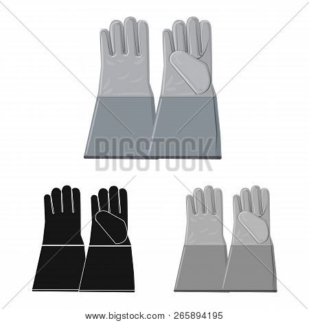 Vector Design Of Glove And Winter Symbol. Collection Of Glove And Equipment Stock Vector Illustratio