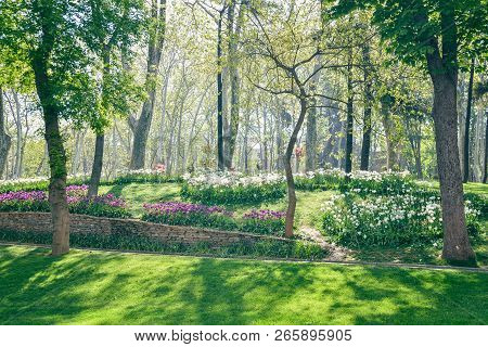 Gulhane Park Is A Historical Urban Park In  Istanbul, Turkey.