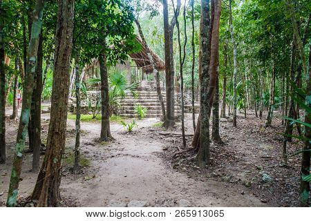 Stela At The Ruins Of The Mayan City Coba, Mexico