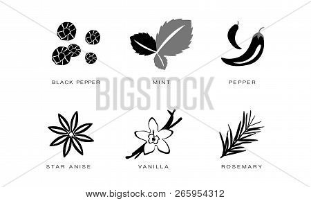 Spices And Condiments Icons Set, Black Pepper, Mint, Pepper, Star Anise, Vanilla, Rosemary Vector Il