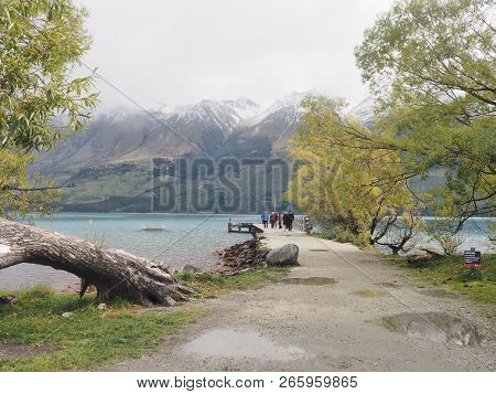 Big Tree In The Nature Mountain Lake Beautiful