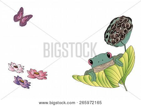 Green Tree Frog Sitting On The Big Leaf, Blooming Colorful Nelumbo Or Lotus Flowers And Beautiful Bu