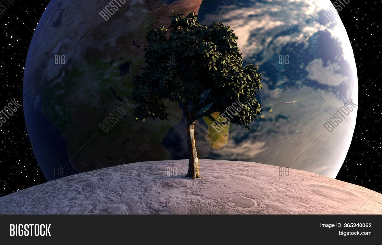 Tree On Moon Front Image & Photo (Free Trial) | Bigstock
