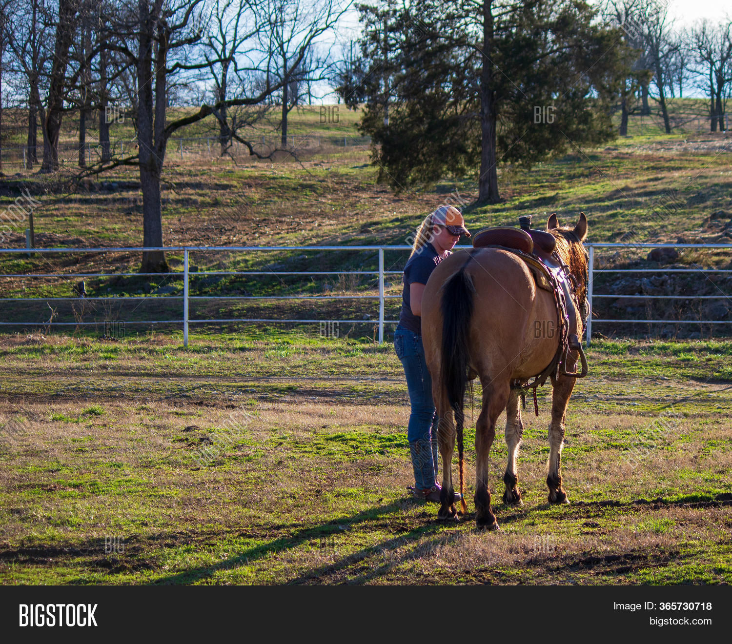Female Horse Trainer Image & Photo (Free Trial) Bigstock