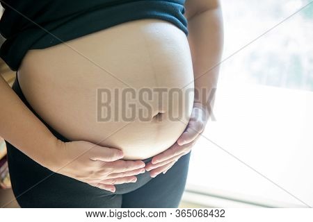 Close Up Pregnant Woman's Belly. Prenancy And Maternity Concept. Development Of Pregnancy And Fetus.