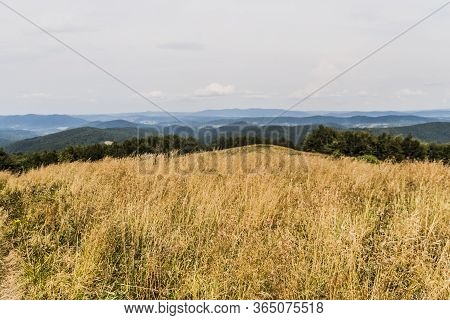 Road From Widelki To Tarnica Through Bukowe Berdo In The Bieszczady Mountains In Poland