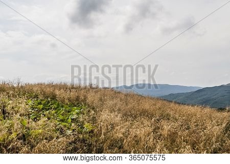 Road From Widelki To Tarnica Through Bukowe Berdo In The Bieszczady Mountains In Poland