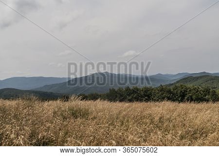 Road From Widelki To Tarnica Through Bukowe Berdo In The Bieszczady Mountains In Poland
