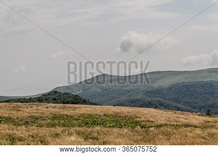 Road From Widelki To Tarnica Through Bukowe Berdo In The Bieszczady Mountains In Poland