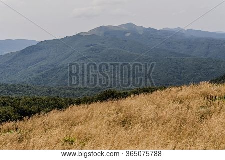 Road From Widelki To Tarnica Through Bukowe Berdo In The Bieszczady Mountains In Poland