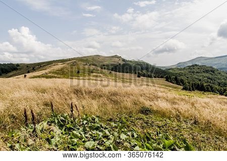 Road From Widelki To Tarnica Through Bukowe Berdo In The Bieszczady Mountains In Poland