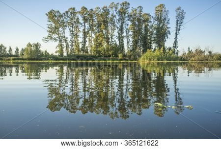 Tree-covered Island At Guadiana River Bank, Close To Badajoz City, Extremadura, Spain. Las Crispitas