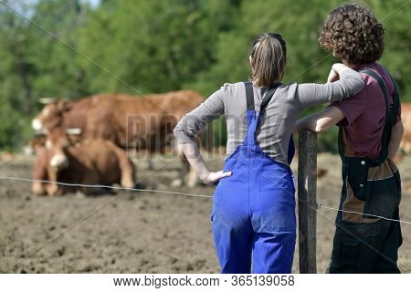 Young couple of farmers standing by cattle yard