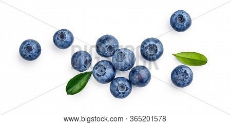Fresh Blueberries With Bluberry Leaves Isolated On White Background. Top Vew.