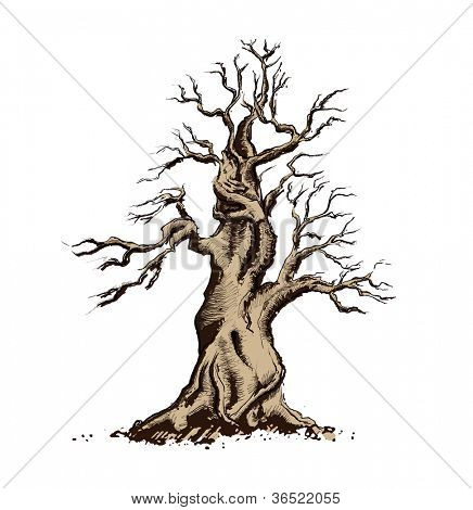 Albero Silhouette Vector Illustration. Arte bonsai