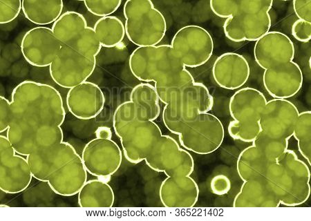 Artistic Amazing Yellow A Lot Biological Unicellulars Digital Art Texture Background Illustration