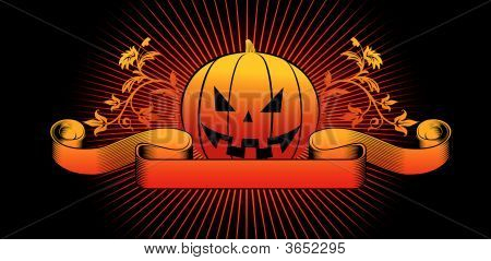 Zucca