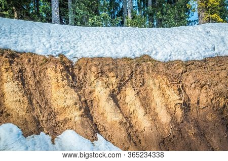 Layers Of Soil Brown Soil Roots In Soil Soil Profile Soil Zones. Soil Covered With Snow In Kashmir