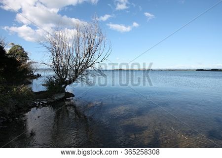 Lake Taupo In New Zealand's North Island. Waihi Scenic Reserve.