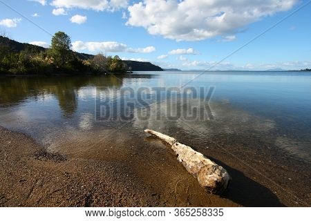 Lake Taupo In New Zealand's North Island. Waihi Scenic Reserve.