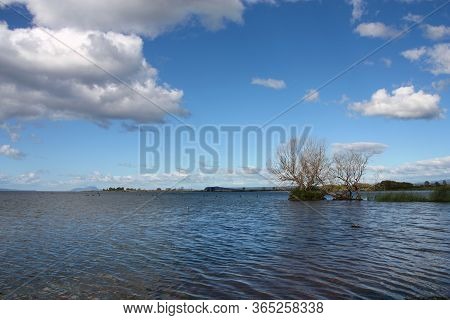 Lake Taupo In New Zealand's North Island. Waihi Scenic Reserve.