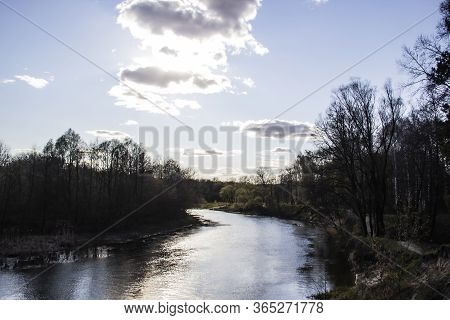 Ukranian Landscape In The Forest. Pine Forest With A River Name Psel In City Sumy. Pine Trees On A R