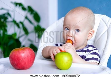 Baby Food. Little Cutest Caucasian Child Eating Carrot And Green Apple Healthy Food. Looking At Came