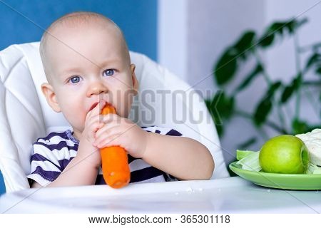 Baby Food. Little Cutest Caucasian Child Eating Carrot And Green Apple Healthy Food. Looking At Came