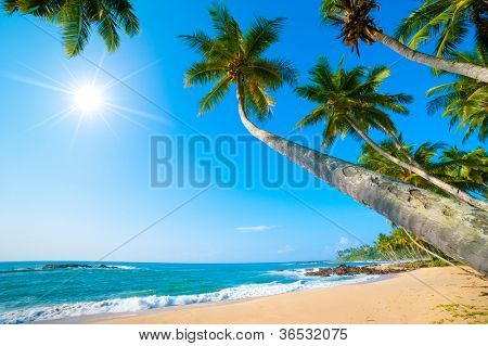 ริมชายหาดขาวละเอียดในศรีลังกา