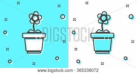 Black Line Flower In Pot Icon Isolated On Green And White Background. Plant Growing In A Pot. Potted